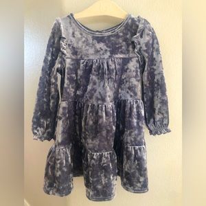 18 month cat and jack grey velour dress